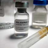 Virus-Polio