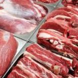 Meat.ban_