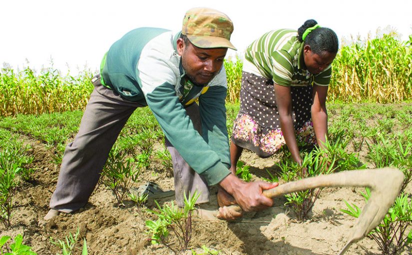 AGRI1
