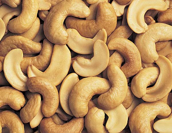 Mhoje_cashew3_photo_jpg-1