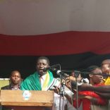 Araujospeech