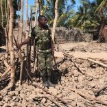 Cdattacksnayde.file_.dw_