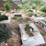 Graves.not_