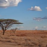 Kenya-tullow-oil