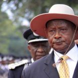 M7