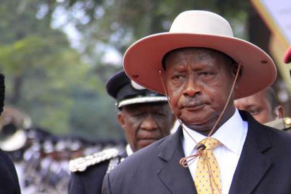 M7