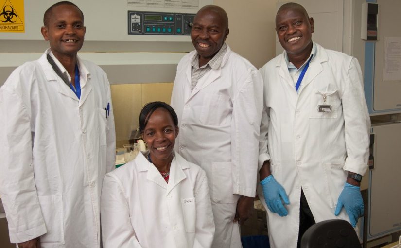 Ortamboresearchchairs.ttfilephoto