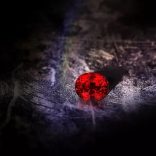 Ruby.file_
