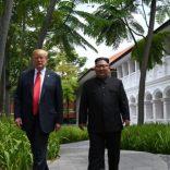 Trumpkimm