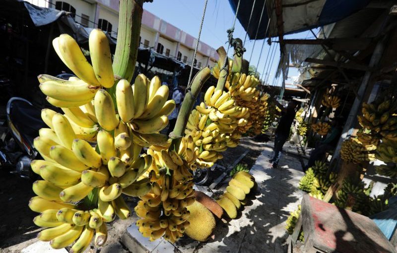Banana.moz_.lusa_