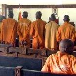 Cabodelgado.trial2_.op_