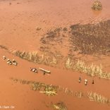 Foods.buzi_.unocha.tt_