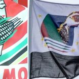 Frelimorenamo