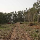 Navidator.portucelmoz