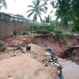 PEMBA-