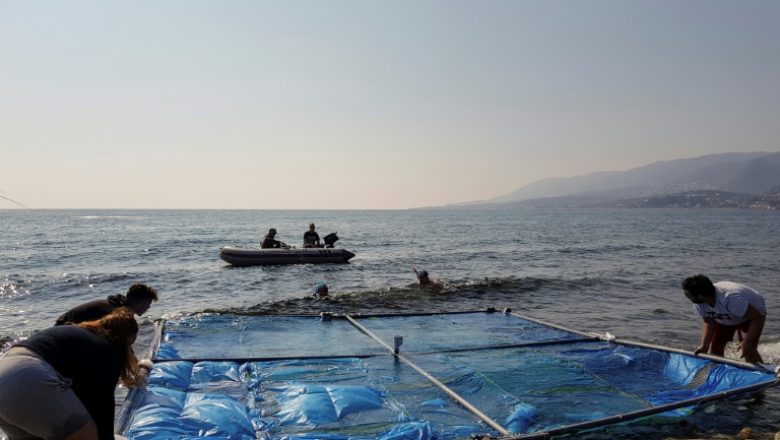 Aegeansea