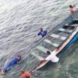 Boatfledw