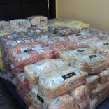 Eswatiniaidmoz.idai_