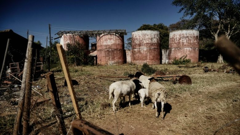 Farmzim.afp_