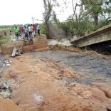 Macomia1.pinnaclenews