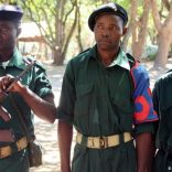 Renamoguerrillas.dw_