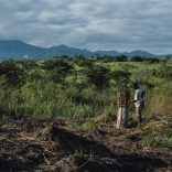 Deforestation.idai_