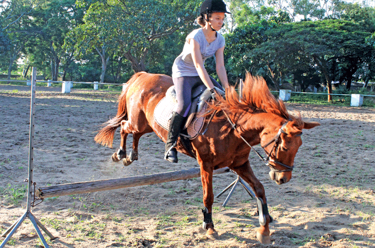 Hipico.domingo