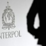 Interpolfileafp