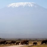 Kilimanjaro.r