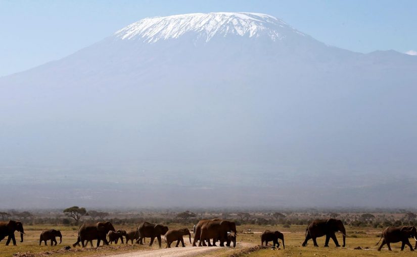 Kilimanjaro.r