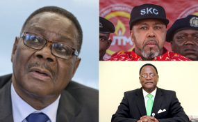Malawielect