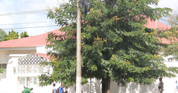 Nampulapalace.ikweli