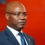 Pachecolusa.lusa_.file_