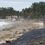 Wfpkennethwimbibeach