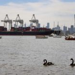 Australiabust