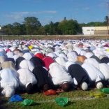 Cabodelgado.eid_.dw_