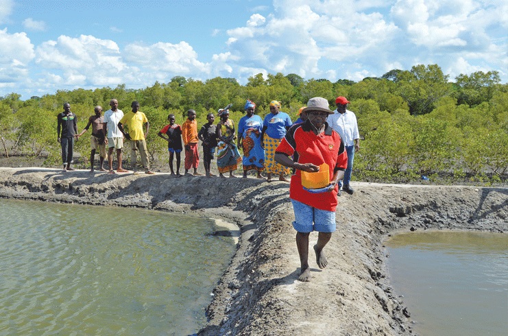 Chicoa Fish Farm