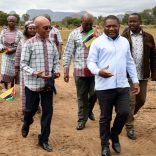 Nyusinampula.domingo