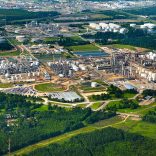 Sasolsasol1