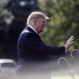 Trump.bloom_