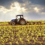 Mhje_farming_photo_jpg