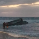 Beached3