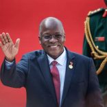 Magufufulii