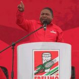 Manifesto.nyusi_.not_