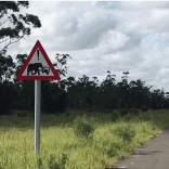 Maputoreserve.not_