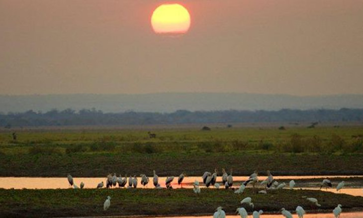 GORONGOSA-