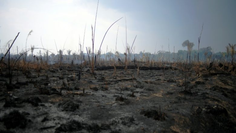 Amazonfires