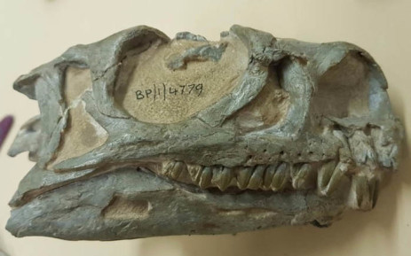 Dinosa1