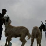 Eidki