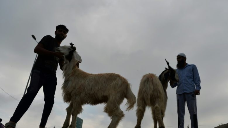 Eidki